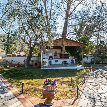 Lila House
